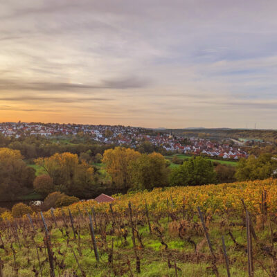 Marbacher_Neckarhälde_